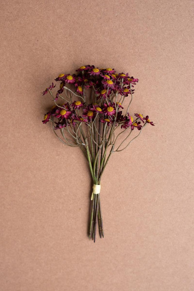 Set of 6 Chamomile Bundle (6 Stems) - Burgandy – image 1