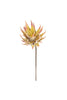 Set of 6 Botanica #2855 – image 4