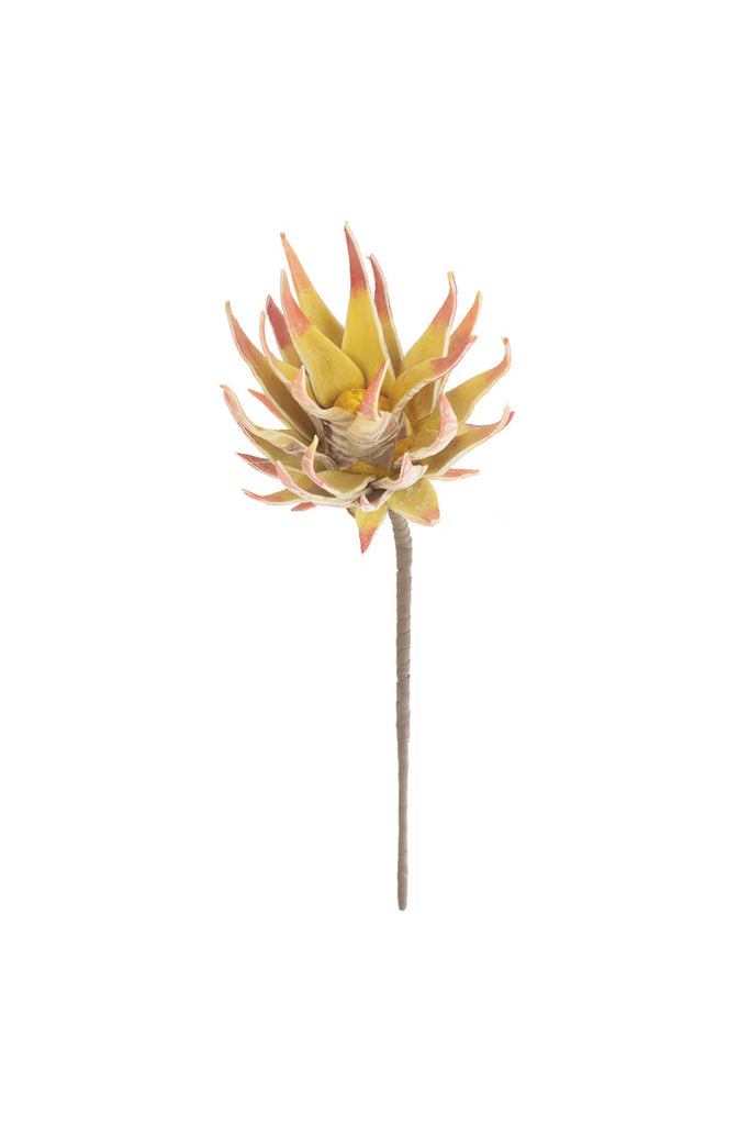 Set of 6 Botanica #2855 – image 4