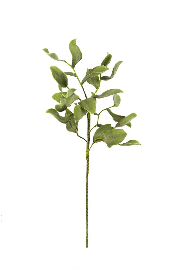 Set of 6 Botanica #2425 – image 1