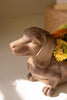 Cement Dachshund - view 4
