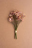 Set of 6 Chamomile Bundle (6 Stems) - Blush – image 1