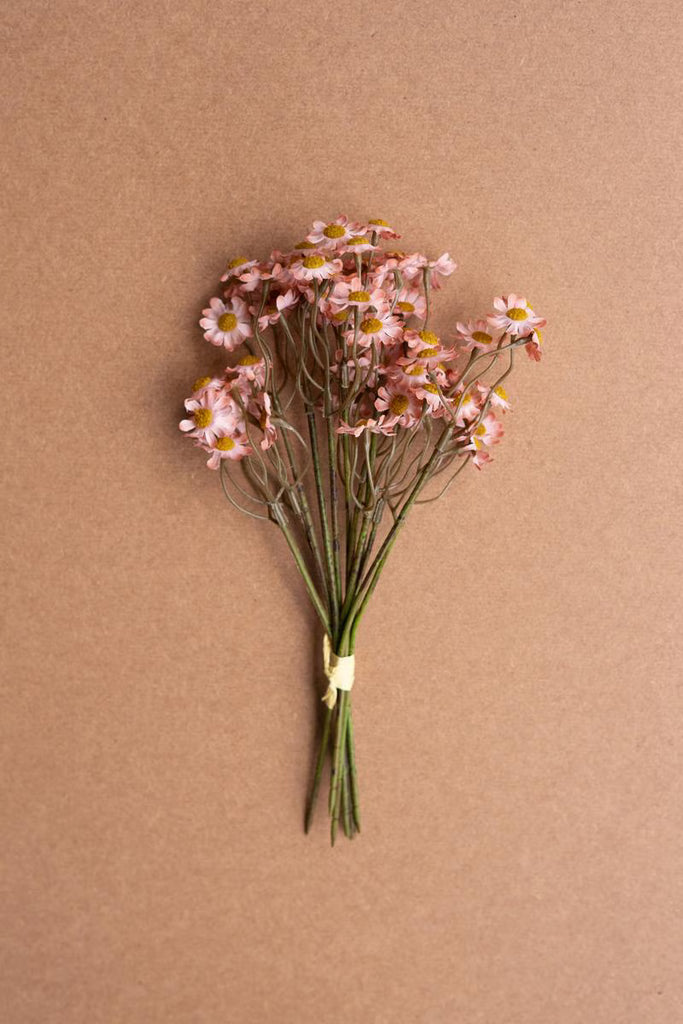 Set of 6 Chamomile Bundle (6 Stems) - Blush – image 1