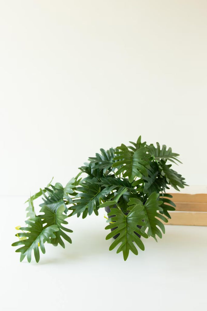 Set of 6 Artificial Mini Philodendron in a Black Plastic Pot – image 2
