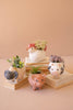 Set of 4 Sheep, Cow, Chicken and Pig Planters – image 2