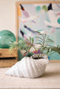 Terracotta Conch Shell Planter - White Glaze - view 1