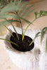 Terracotta Conch Shell Planter - White Glaze - view 2