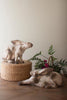 Faux Concrete Rabbit - Sitting – image 2
