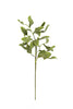 Set of 6 Botanica #2425 – image 3