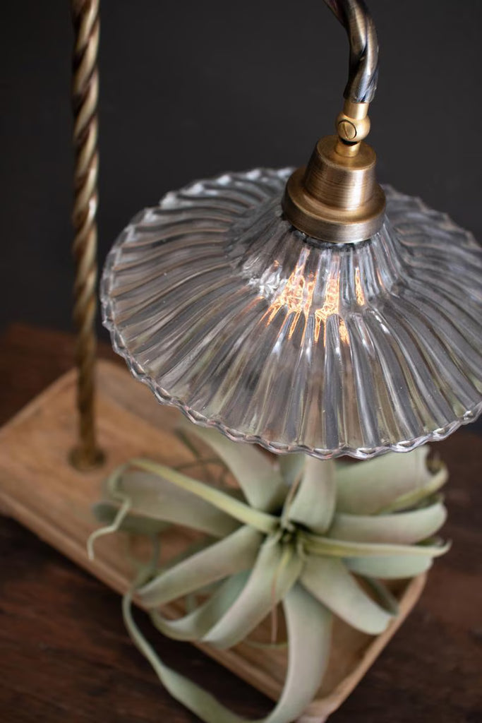 Table Lamp with Wooden Tray Base and Glass Shade – image 4