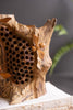Rustic Table Top Hand Carved Bee Hive - view 3