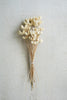 Bundle Of 24 Bleached Bullet Flowers On Stems - Set Of 6 — Kalalou NGLB1017