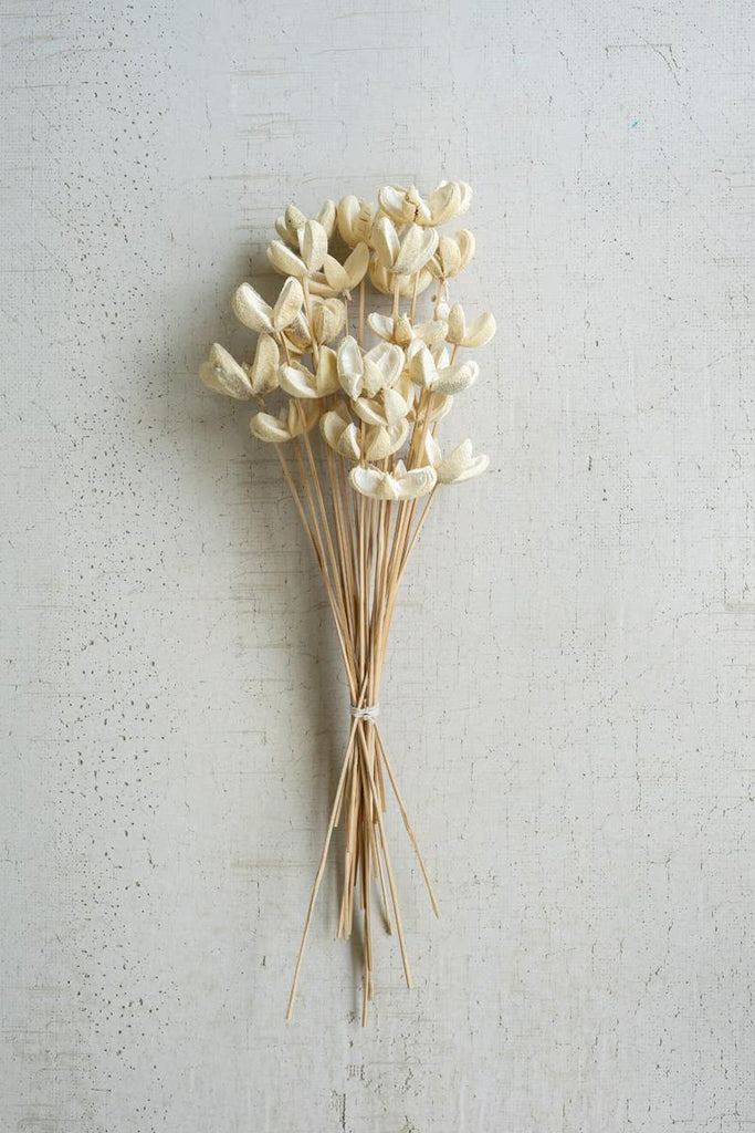 Bundle Of 24 Bleached Bullet Flowers On Stems - Set Of 6 — Kalalou NGLB1017