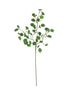Set of 6 Botanica #3508 – image 4