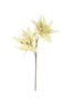Set of 6 Botanica #2446 – image 1