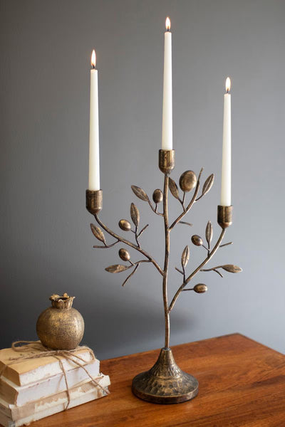 Antique Brass Fruit Tree Taper Candelabra - image 1