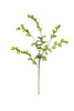 Set of 6 Botanica #3187 – image 1