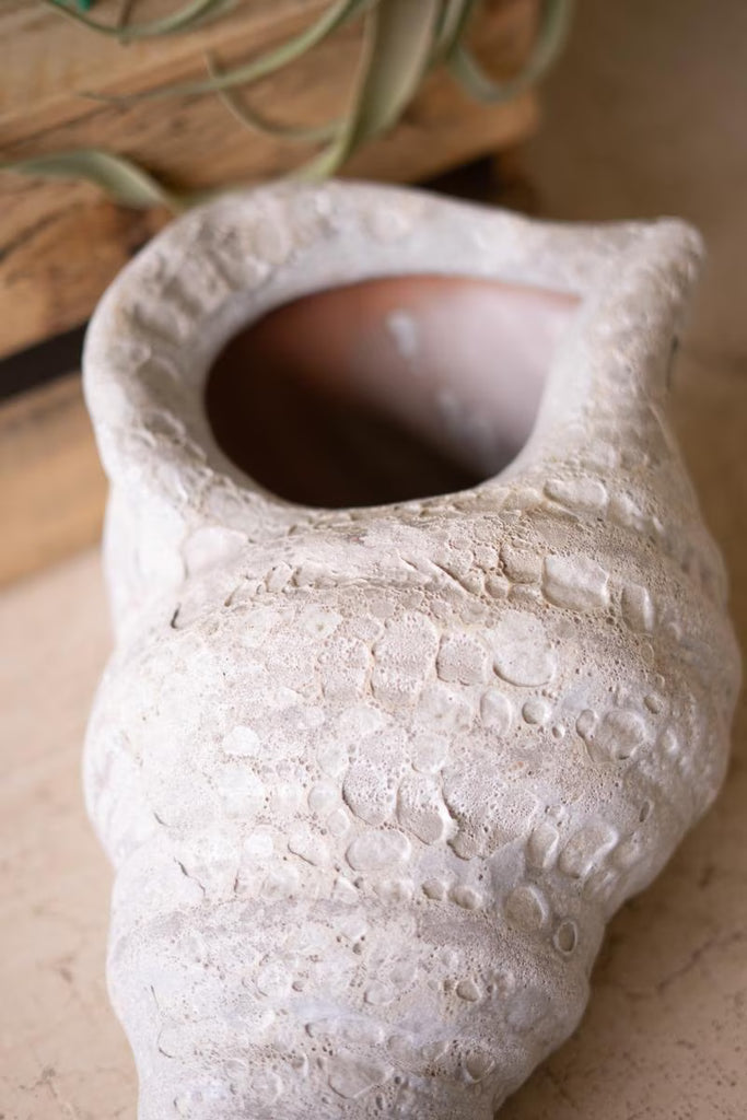 Terracotta Conch Shell Planter - White Glaze - view 3