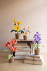 Set of 4 Potted Pipe Cleaner Botanica – image 5