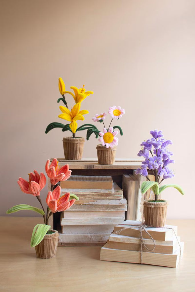 Set of 4 Potted Pipe Cleaner Botanica – image 5