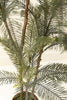 Artificial 46" Fern in Plastic Pot – image 3