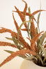 Set of 6 Botanica #9071 – image 4