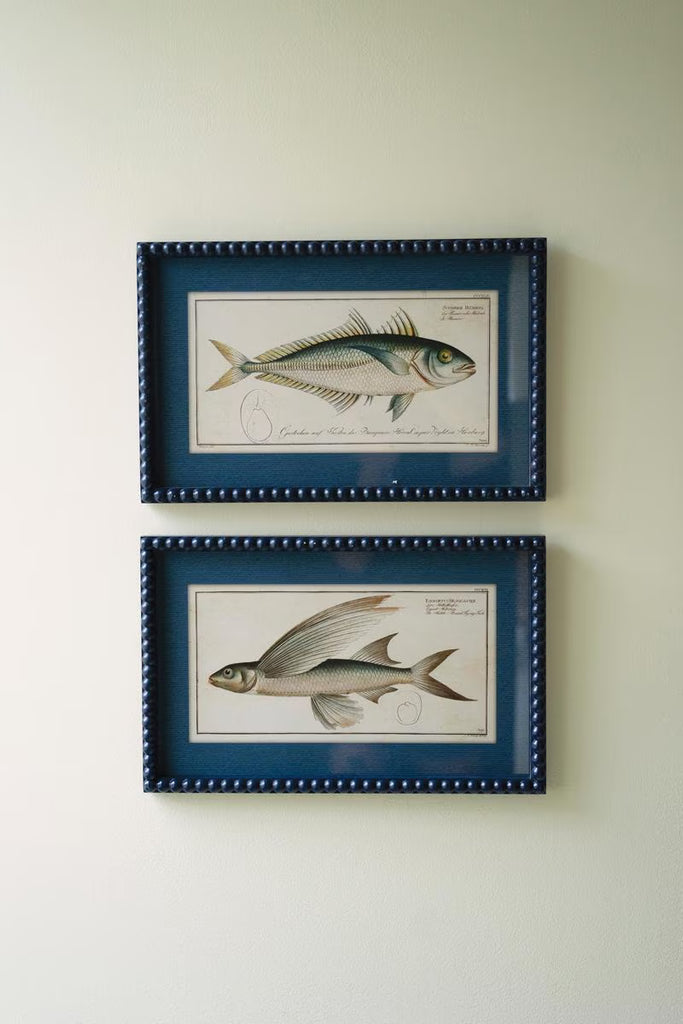 Set of 2 Navy Framed Fish Prints Under Glass – image 1