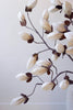 Set of 6 Botanica #2716 – image 3