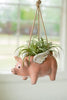 CERAMIC HANGING FLYING PIG PLANTER (MIN 2) — Kalalou CDV2243K