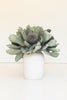 Set of 6 Botanica #3689 – image 2