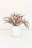 Set of 6 Botanica #9071 – image 2