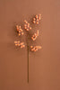 Set of 6 Botanica #9020 – image 5