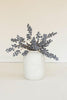 Set of 6 Botanica #9021 – image 1