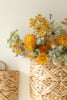 Set of 2 Water Hyacinth Wall Baskets - view 2