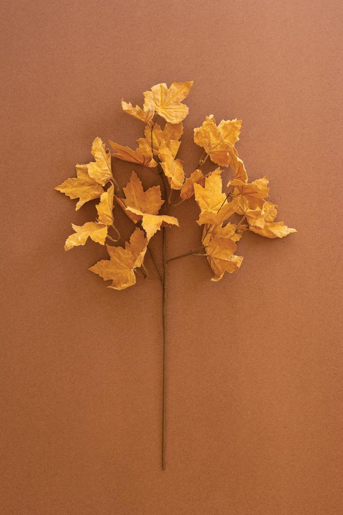 Set of 6 Botanica #9080 – image 1