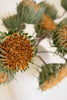 Set of 6 Botanica #3700 – image 4
