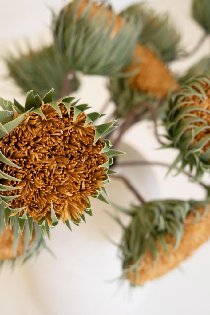 Set of 6 Botanica #3700 – image 4