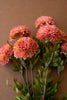 Set of 6 Bundle of Seven Artificial Dalhias - Blush – image 3