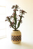 Artificial 35" Column Cactus in Plastic Pot – image 5