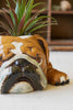 CERAMIC BULLDOG PLANTER (MIN 2) — Kalalou CDV2139K