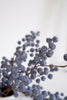 Set of 6 Botanica #9021 – image 3