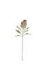 Set of 6 Botanica #9032 – image 2
