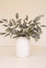 Set of 6 Botanica #2425 – image 2