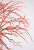Set of 6 Botanica #9008 – image 3
