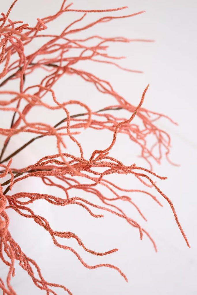 Set of 6 Botanica #9008 – image 3