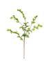Set of 6 Botanica #3187 – image 3