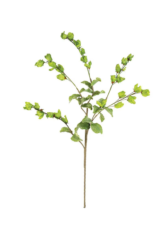 Set of 6 Botanica #3187 – image 3