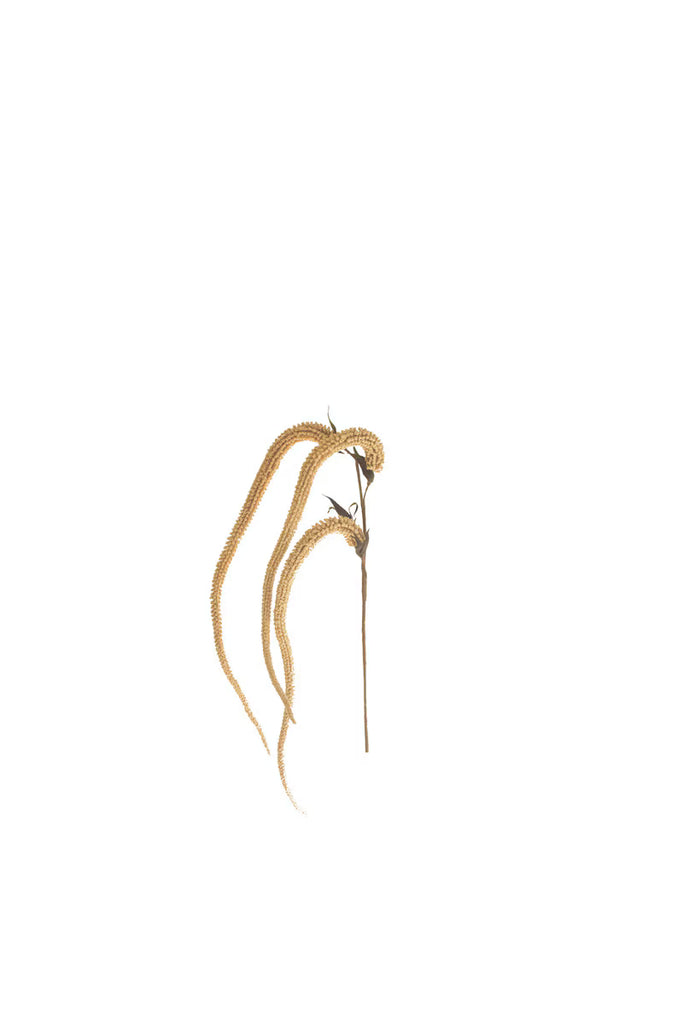 Set of 6 Botanica #9031 – image 2