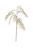 Set of 6 Botanica #2502 – image 1
