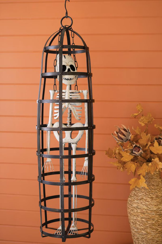 Halloween Skeleton in a Cage – image 1